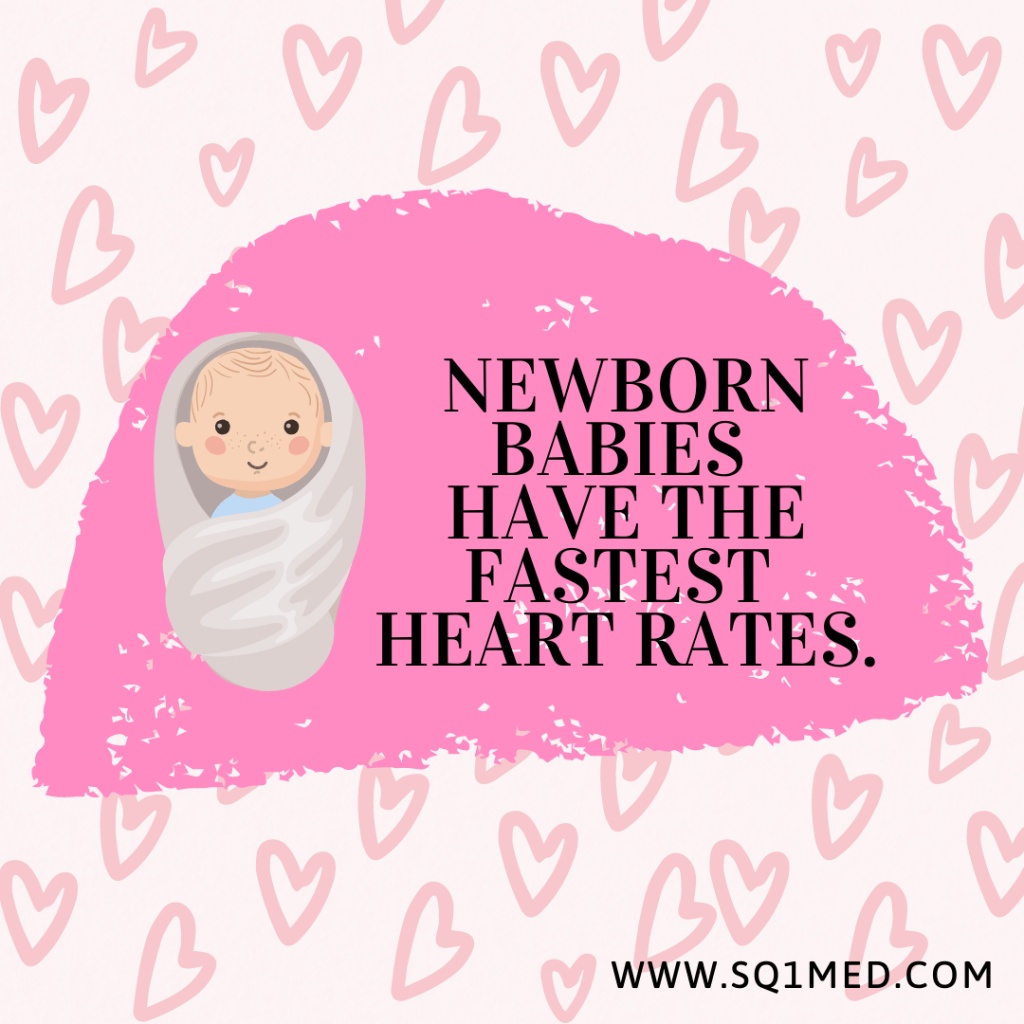 Newborn babies have the fastest heart rates.
