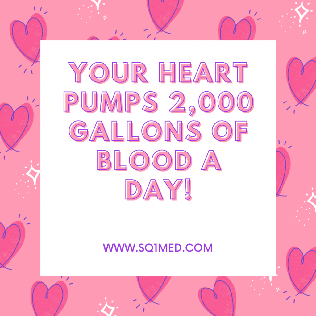 Your heart pumps 2,000 gallons of blood a day.