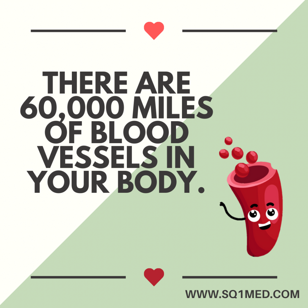There are 60,000 miles of blood vessels in your body.